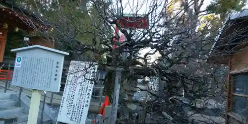 長岡天満宮のその他建物