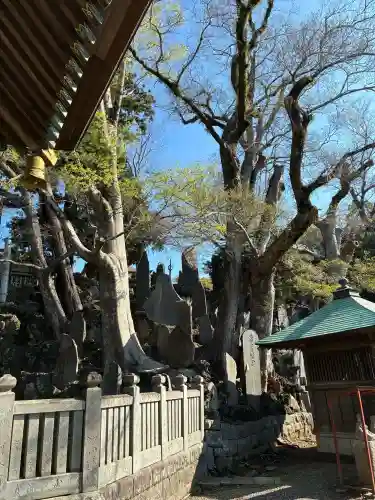 成田山新勝寺(千葉県)