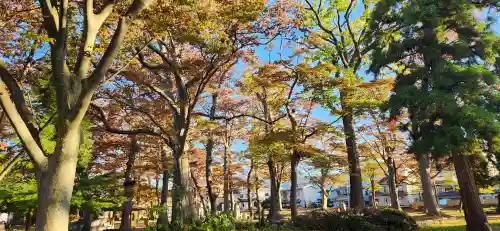 出羽国分寺薬師堂の周辺