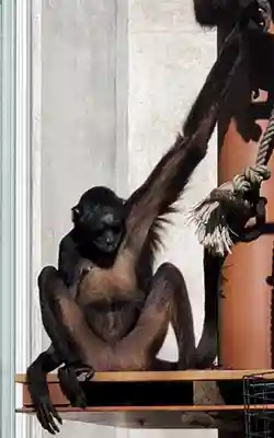 鑁阿寺(栃木県)