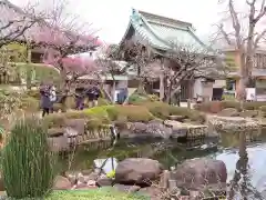 長谷寺の庭園