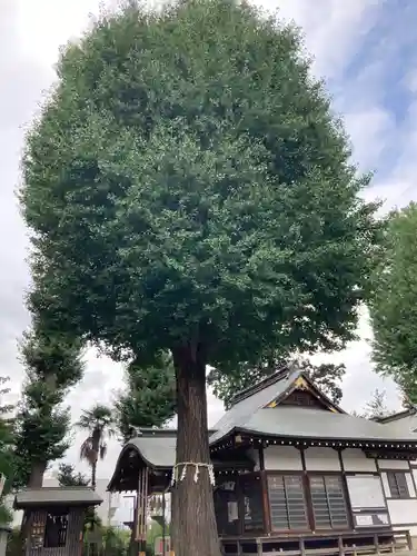 武蔵野神社の本殿・本堂