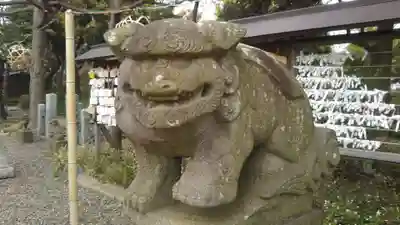 菊田神社の狛犬