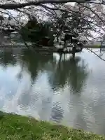 厳島神社(市塙)の周辺