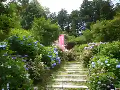 鷲子山上神社の自然