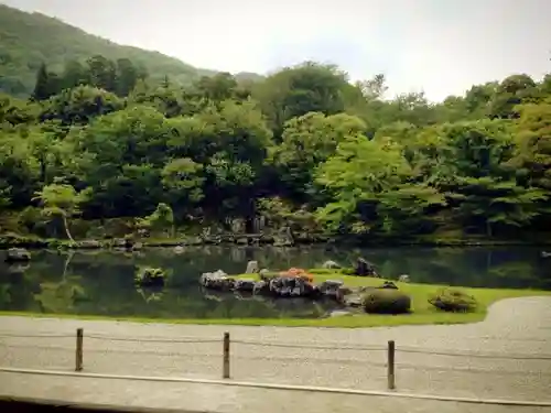 天龍寺の庭園