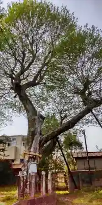 宇賀神社(京都府)