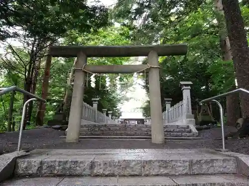 千歳神社の鳥居