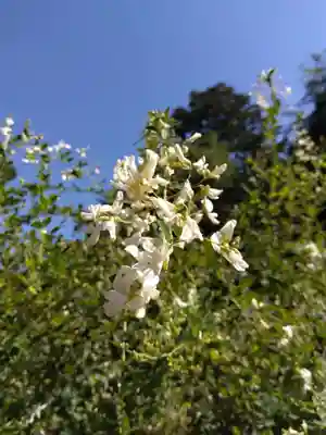 瑞源寺(福井県)