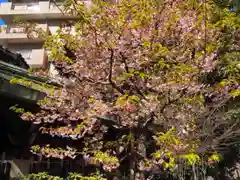 小野照崎神社の自然