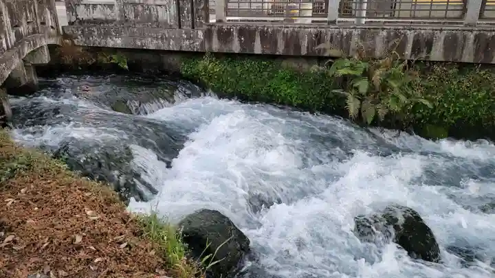 富士山本宮浅間大社(静岡県)