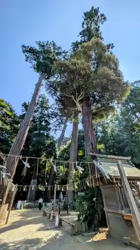 鹿島神宮(茨城県)
