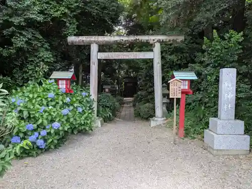 鷲宮神社(埼玉県)
