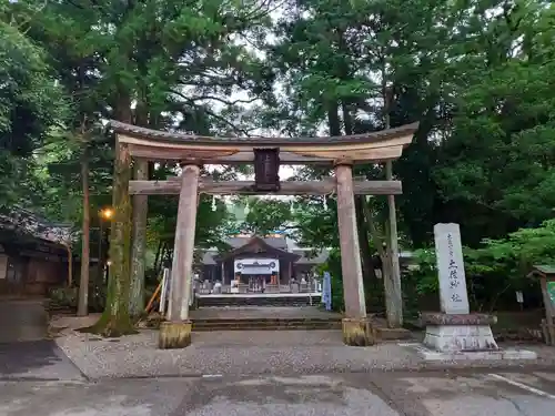 土佐神社の鳥居