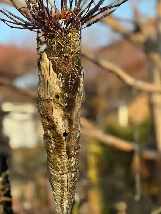 常泉寺(神奈川県)
