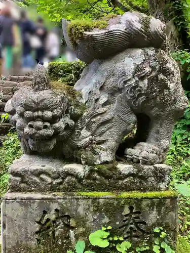 戸隠神社奥社の狛犬