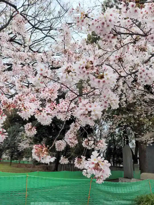 上野東照宮の自然