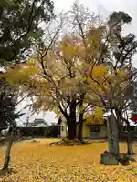 美奈宜神社の自然