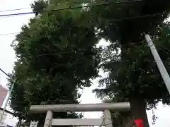 出世稲荷神社の自然