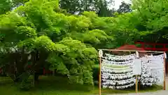 大原野神社のおみくじ