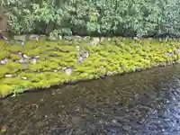 藤木社(賀茂別雷神社末社)(京都府)