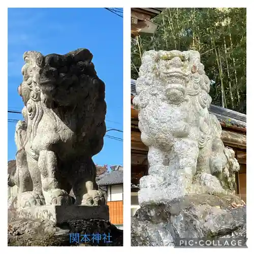 関本神社の狛犬