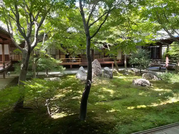 建仁寺(建仁禅寺)(京都府)