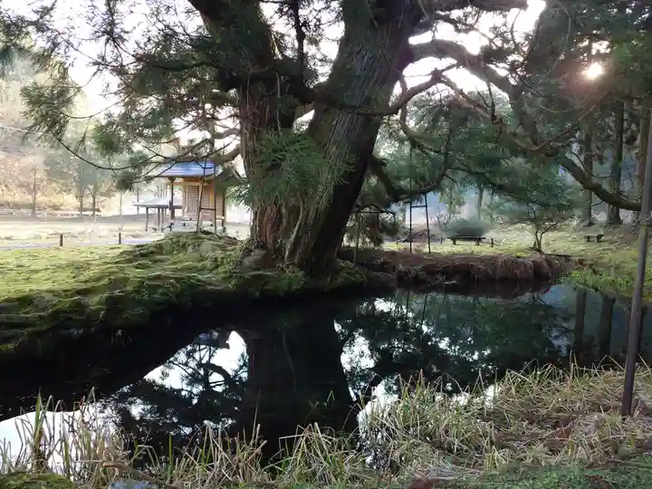 一本杉神社(島根県)