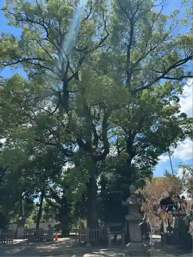 大神神社（花池）(愛知県)