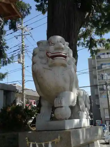 矢切神社の狛犬