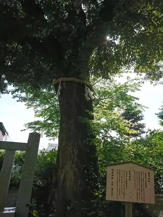 毛谷黒龍神社の自然