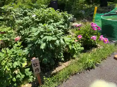 狭山山不動寺の{uncategorized: "未分類", other: "その他", undefined: "問題あり", building: "その他建物", grave: "お墓", sacred_gate: "鳥居", guardian: "狛犬", statue: "像", buddha: "仏像", history: "歴史", nature: "自然", garden: "庭園", animal: "動物", pagoda: "塔", temizu: "手水舎", mountain_gate: "山門・神門", sanctuary: "本殿・本堂", subordinate: "末社・摂社", art: "芸術", scenery: "景色", jizo: "地蔵", ema: "絵馬", goshuin: "御朱印", omikuji: "おみくじ", items: "授与品その他", amulet: "お守り", goshuincho: "御朱印帳", eats: "食事", festival: "お祭り", votive_dance: "神楽", shichigosan: "七五三参", wedding: "結婚式", experience: "体験その他", initially: "初詣", around: "周辺", anti_infection: "感染症対策"}