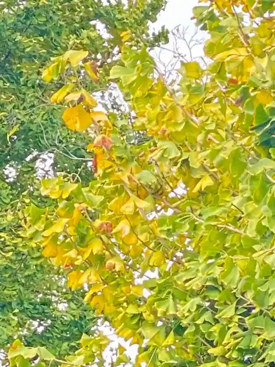 宇賀神社(京都府)