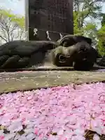 土津神社|こどもと出世の神さまの狛犬