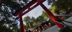 箱根神社の鳥居