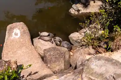 吉備津彦神社(岡山県)