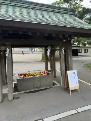亀田八幡宮(北海道)