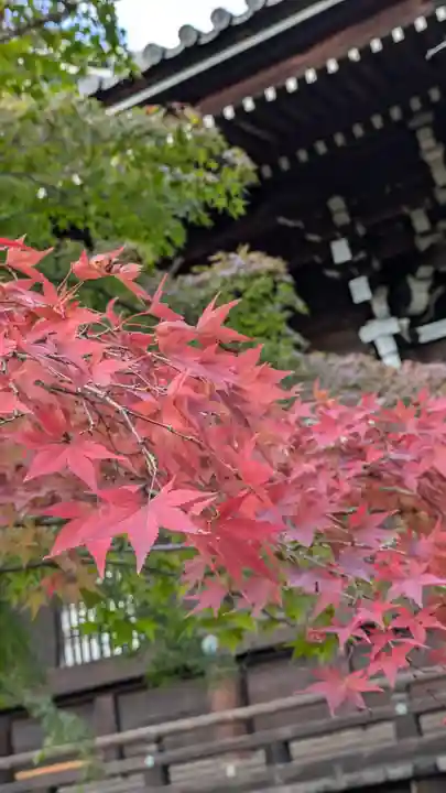 真正極楽寺(真如堂)(京都府)