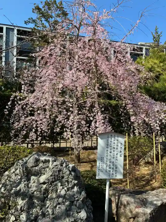 建長寺の{uncategorized: "未分類", other: "その他", undefined: "問題あり", building: "その他建物", grave: "お墓", sacred_gate: "鳥居", guardian: "狛犬", statue: "像", buddha: "仏像", history: "歴史", nature: "自然", garden: "庭園", animal: "動物", pagoda: "塔", temizu: "手水舎", mountain_gate: "山門・神門", sanctuary: "本殿・本堂", subordinate: "末社・摂社", art: "芸術", scenery: "景色", jizo: "地蔵", ema: "絵馬", goshuin: "御朱印", omikuji: "おみくじ", items: "授与品その他", amulet: "お守り", goshuincho: "御朱印帳", eats: "食事", festival: "お祭り", votive_dance: "神楽", shichigosan: "七五三参", wedding: "結婚式", experience: "体験その他", initially: "初詣", around: "周辺", anti_infection: "感染症対策"}