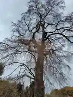 龍光寺(福島県)