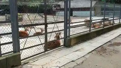 鹿島神宮(茨城県)