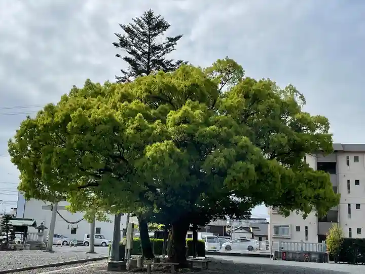 大歳神社(静岡県)