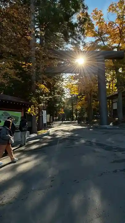 北海道神宮(北海道)