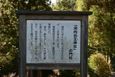 河内白王神社(高知県)