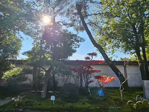 中宮寺(奈良県)