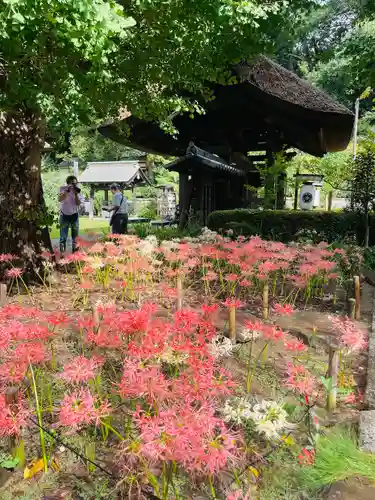 横浜　西方寺(神奈川県)