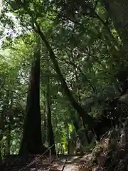 慈眼寺(徳島県)