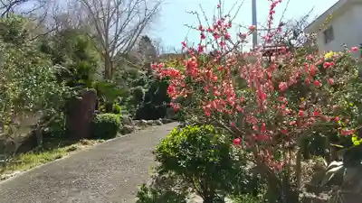 天龍山 誓海寺(愛知県)