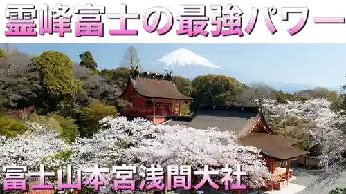 富士山本宮浅間大社の景色