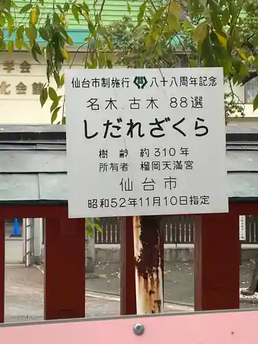 榴岡天満宮(宮城県)